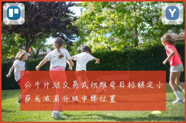 公牛计划交易武切维奇目标锁定小萨或浓眉升级中锋位置