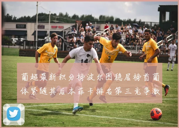 葡超最新积分榜波尔图稳居榜首葡体紧随其后本菲卡排名第三竞争激烈